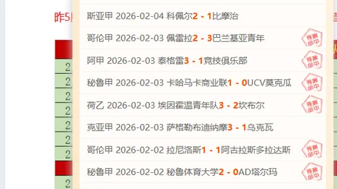 邹城体育中心青春对决：山东泰山B队与湖北青年星平分秋色